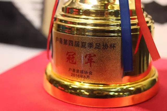 弗罗西诺内主教练谈球队风格与国家队球员